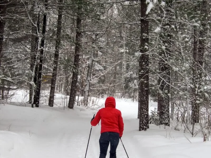 Winter Sports