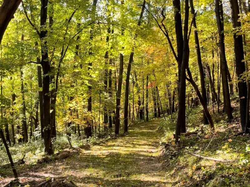 Hiking