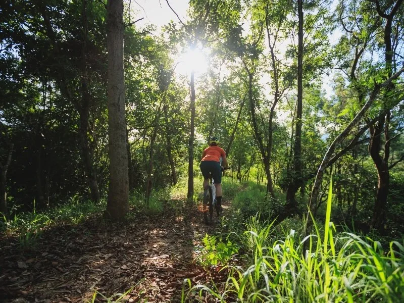 Mountain Biking