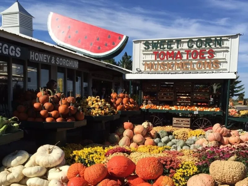 Pecks Farm Market
